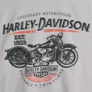 Harley-Davidson Gray Short Sleeve Tee Men’s Large